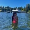 sydneyklein822